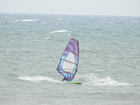 DSCN0780