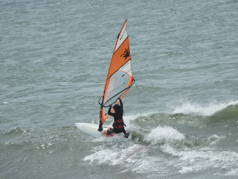 DSCN1310