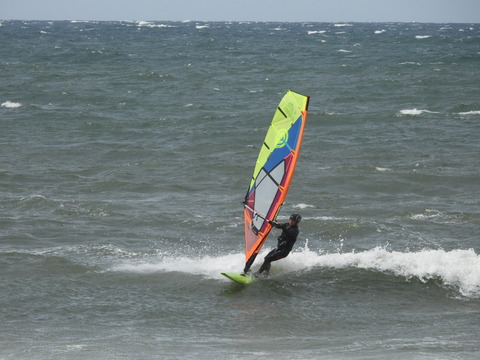 DSCN1266