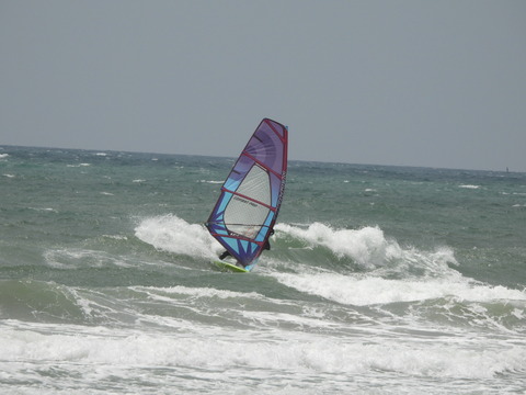 DSCN0797