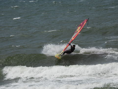 DSCN1186