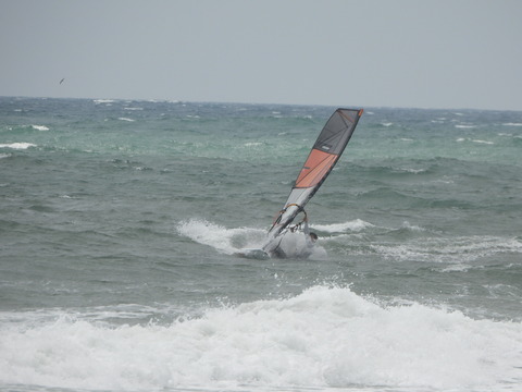DSCN0808