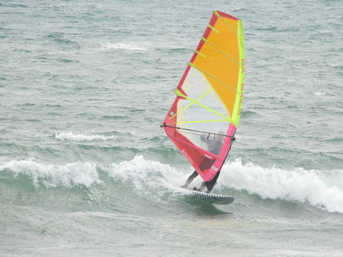 DSCN0977