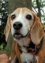 !cid_425D7A43-C26D-478F-AB73-1766995BFD15