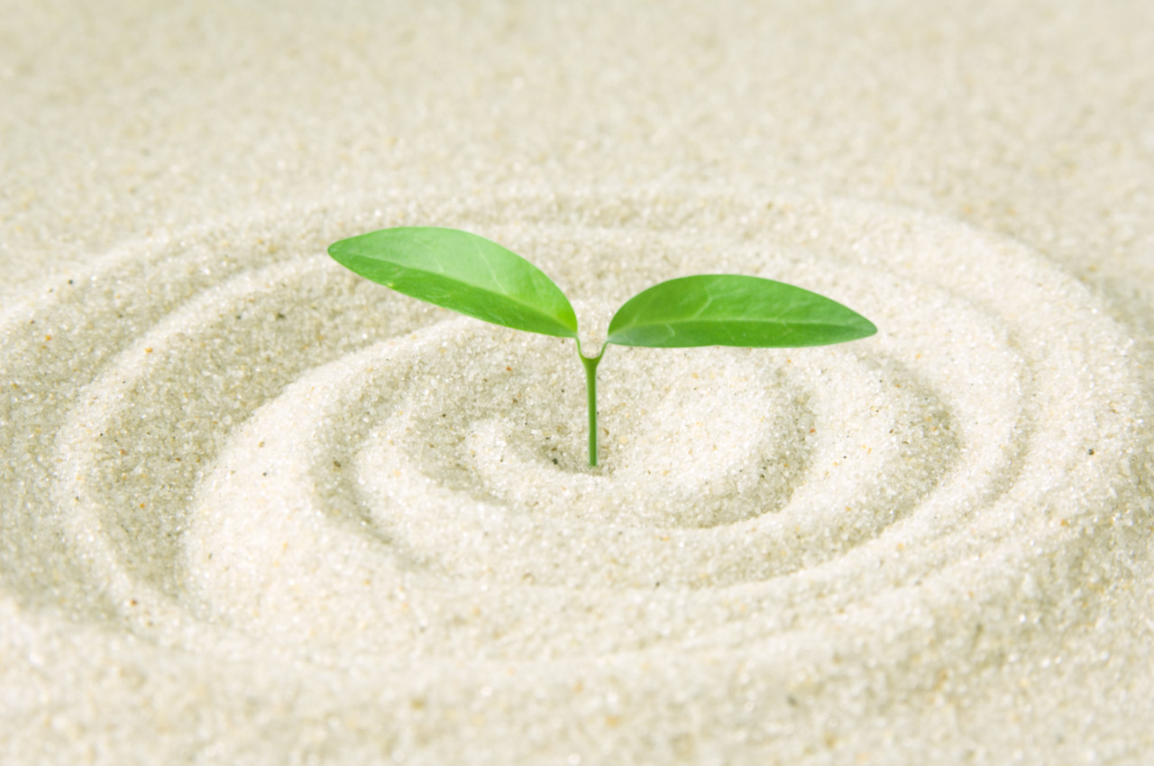 爪の病気やトラブルと様々な身体からの 爪サイン 美美々っときた