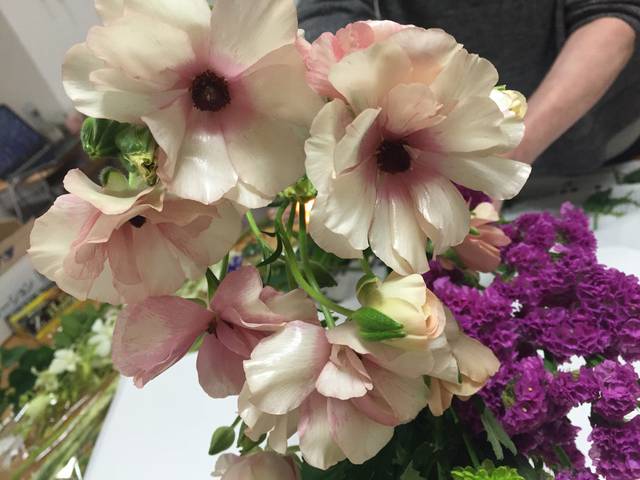 こんなに艶っぽいラナンキュラス 十人十花 こころの花を咲かそう
