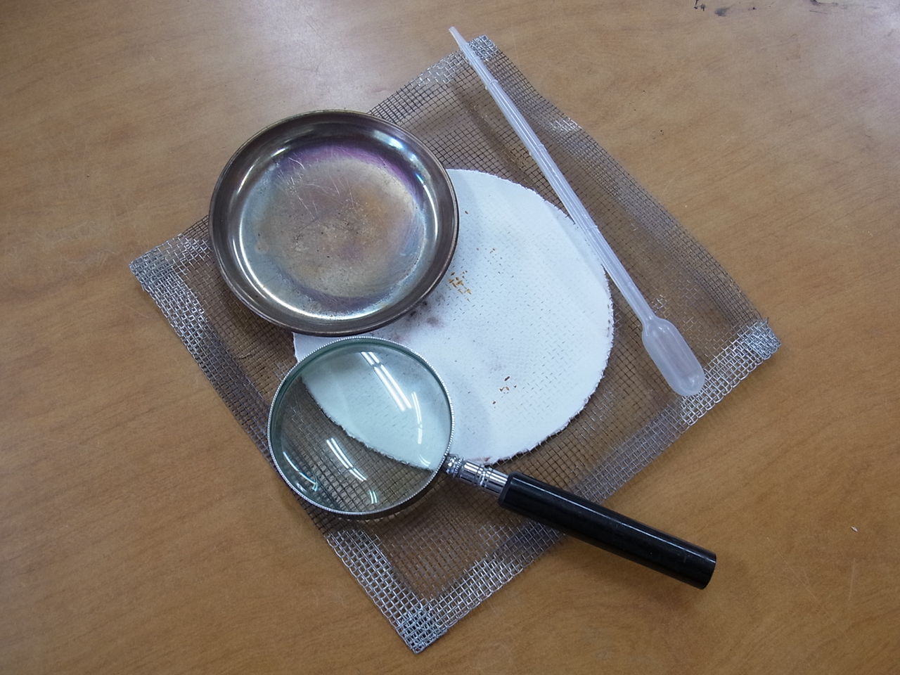 アマルガム砂金退治 危険で怪しいひととき サルナシの掘り掘り日記 越後黄金山の砂金を訪ねて