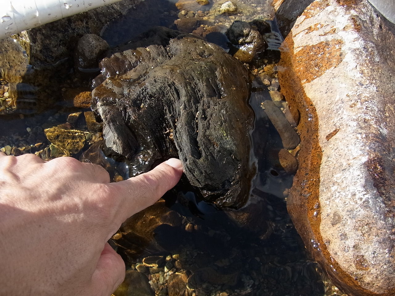 2018年相棒くんとの「初掘り」兼「掘り納め」 ～南陽の砂金を採取すべ