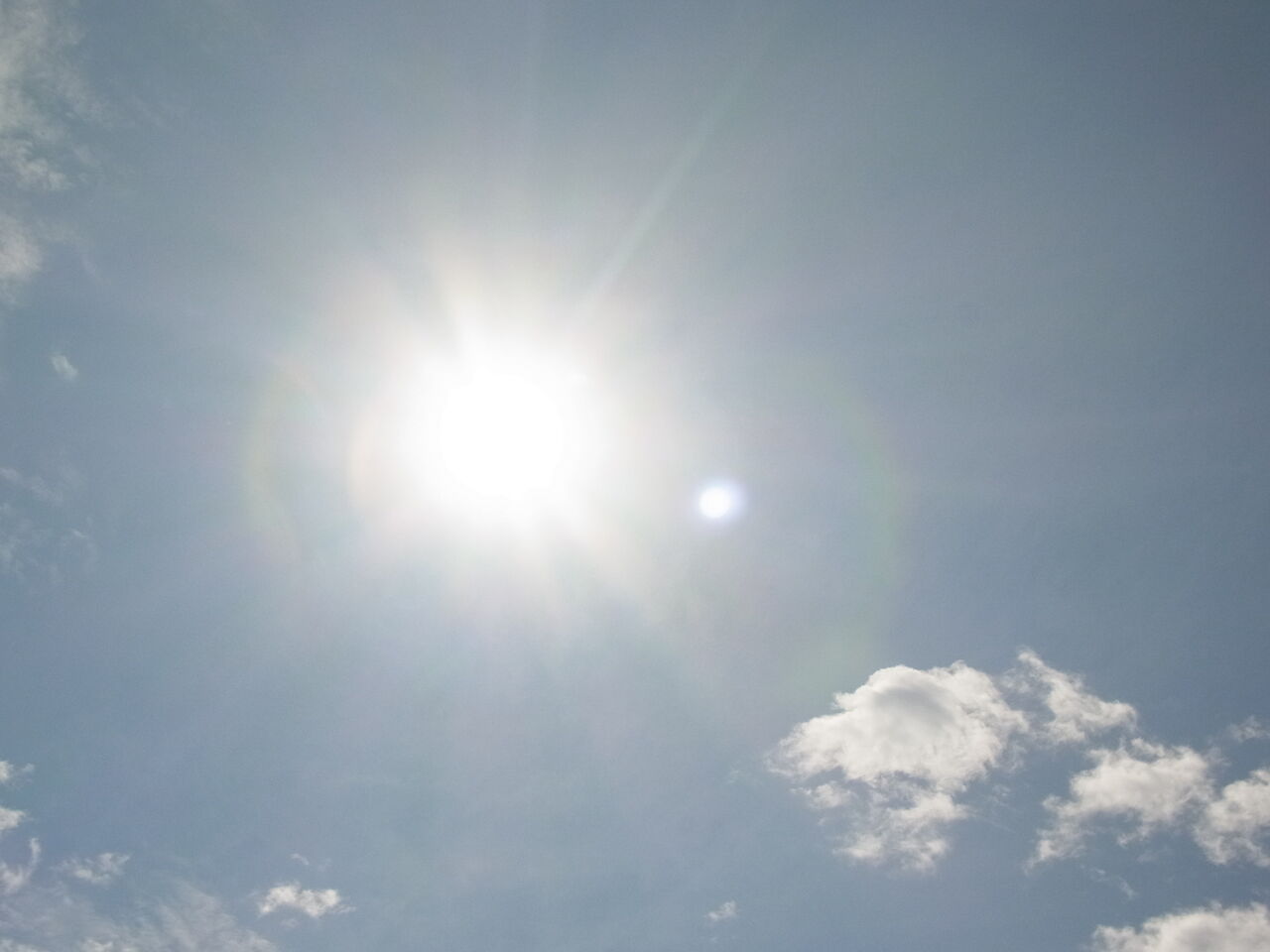 夏のカメランド 屋外水槽 イシガメ クサガメ 太陽は 命の光 死神 サルナシの掘り掘り日記 越後黄金山の砂金を訪ねて