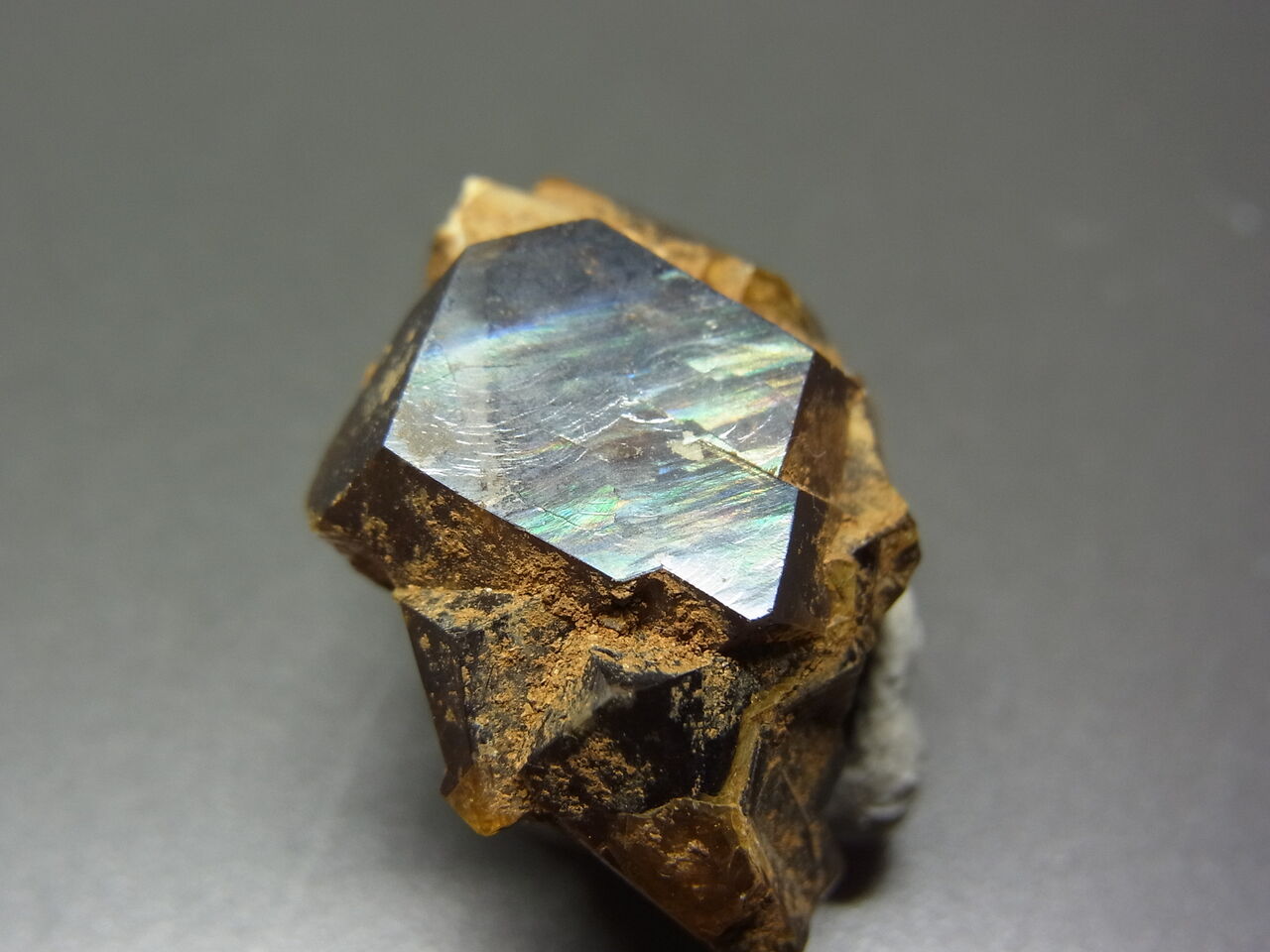 石の記憶 天川村 レインボーガーネット 彗星のごとく現れた宝石