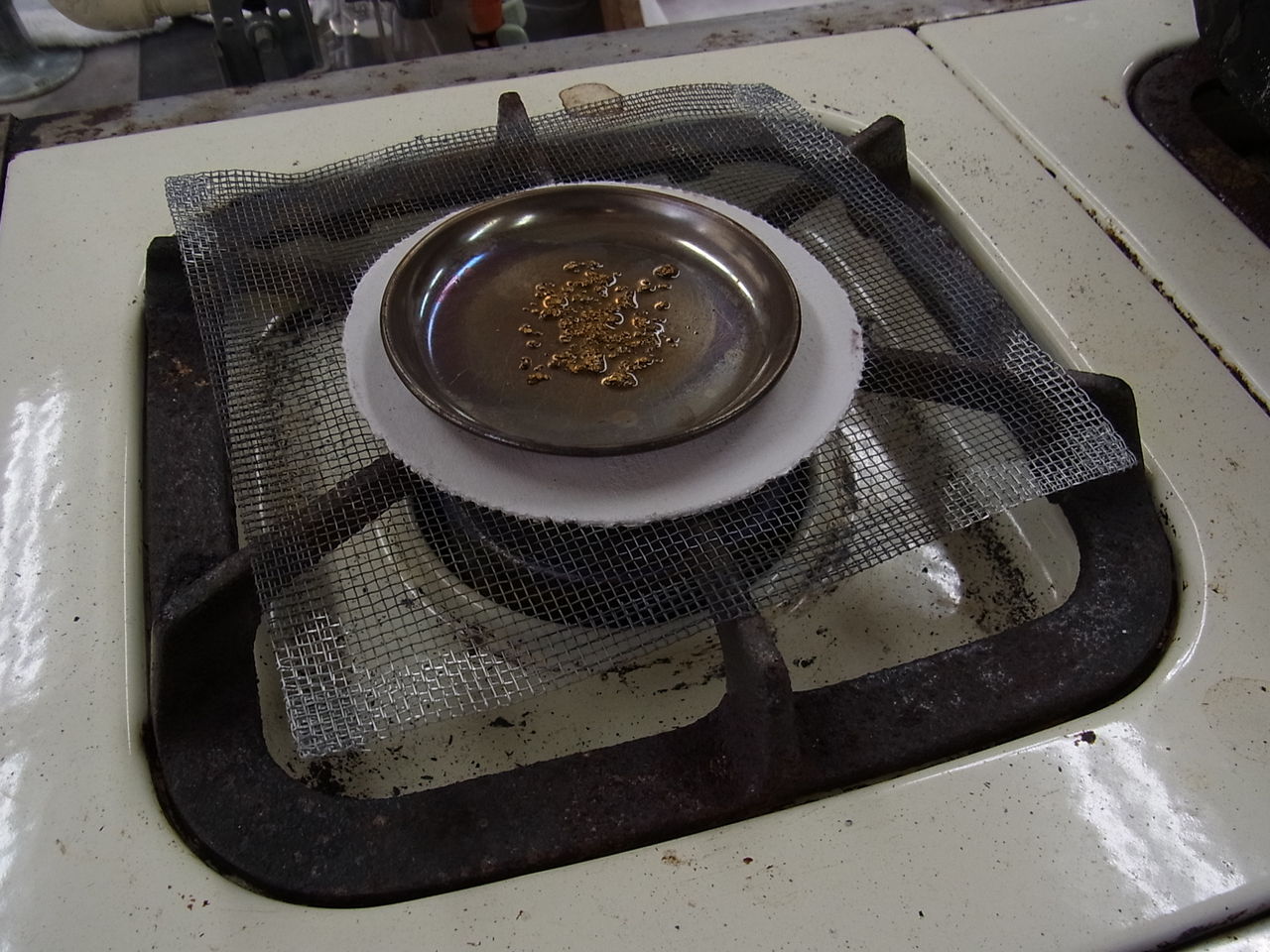 アマルガム砂金退治 危険で怪しいひととき サルナシの掘り掘り日記 越後黄金山の砂金を訪ねて