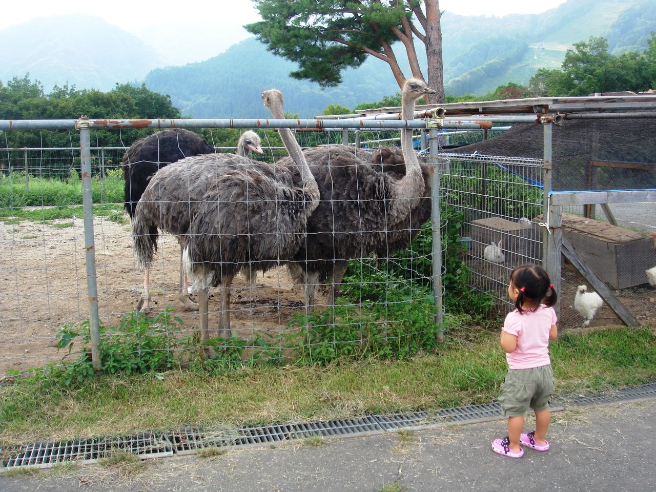 南陽市、飯豊町、そして朝日町の一日 ～山形県置賜・西村山地方で砂金
