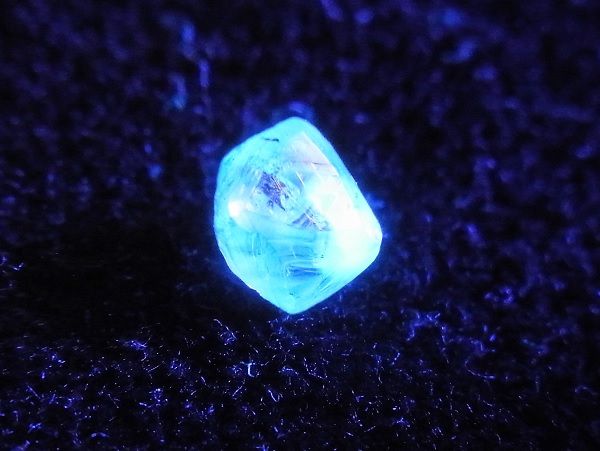 【鉱物標本】キンバーライト•ダイヤモンド ダイヤモンド (キンバーライト母岩付) MM015 : 紀伊國屋書店