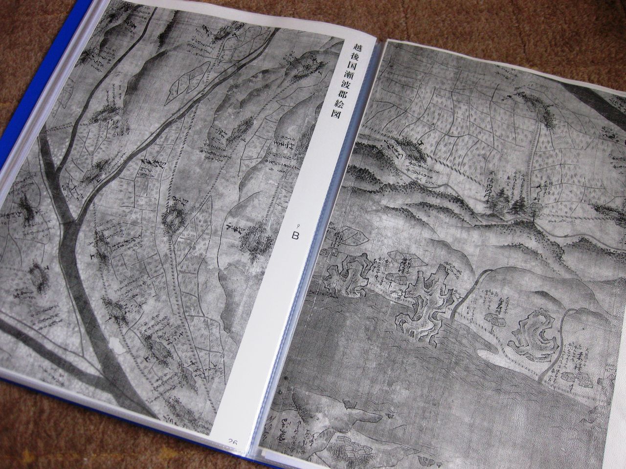 欲しかった資料 ～越後国瀬波郡絵図～ : サルナシの掘り掘り日記