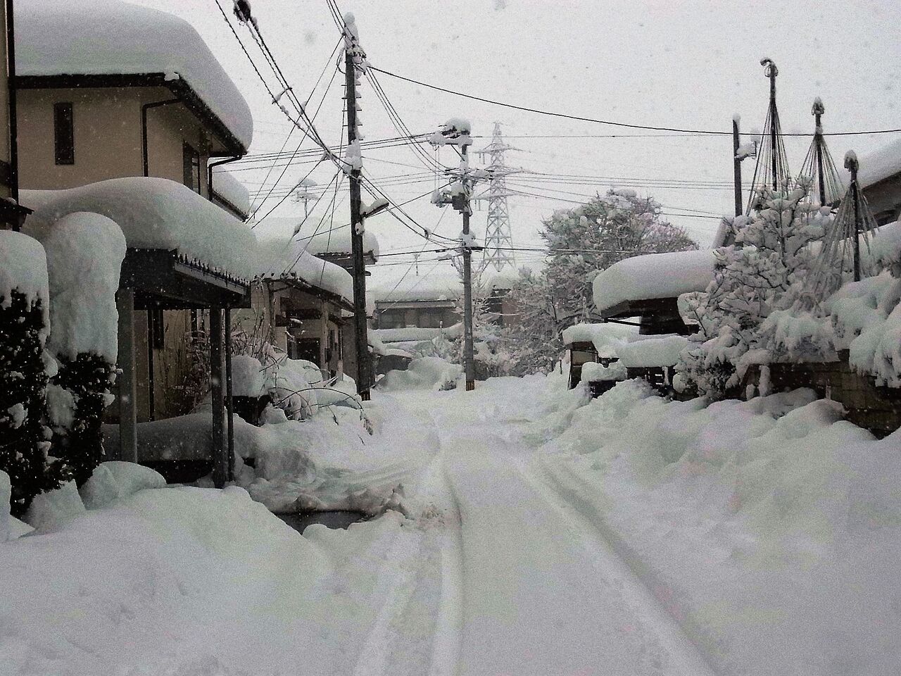 ついに来たか の大雪 砂金掘りを思い浮かべながら敢闘すべし サルナシの掘り掘り日記 越後黄金山の砂金を訪ねて ついに来たか の大雪 砂金掘りを思い浮かべながら敢闘すべし サルナシの掘り掘り日記 越後黄金山の砂金を訪ねて
