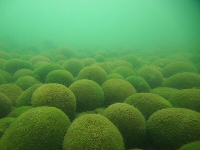 まりも」愛称板は語る その1 ～北海道、東の最果てを目指した蒸気牽引