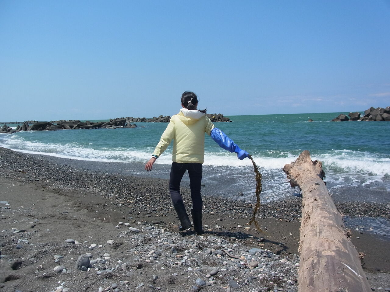 10年ぶりのヒスイ拾い ～懐かしの糸魚川～ : サルナシの掘り掘り日記