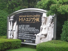 �����ץ�Ÿ