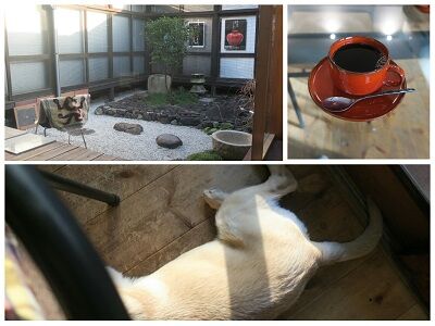 Go Go 沖縄 八重山 はじめての やいま 管理人のつぶやき06