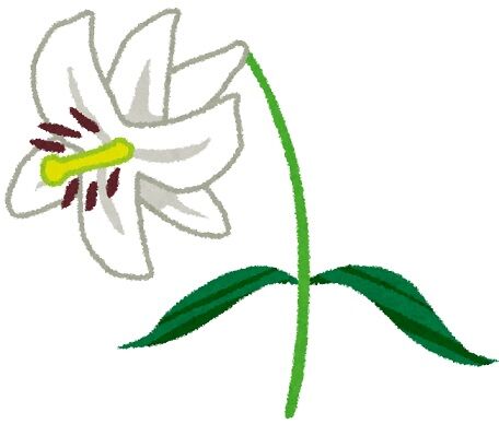 flower_lily