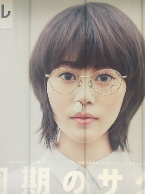 同期のサクラ