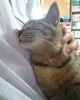 IMG_20180703_111334_028