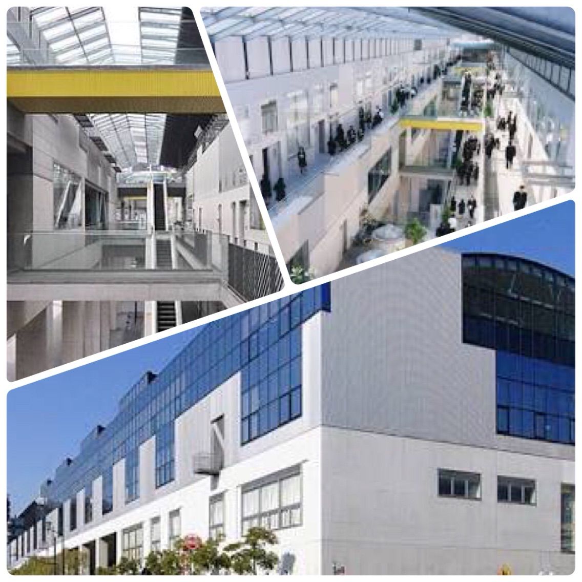 広島ふたたび ごーごのblog