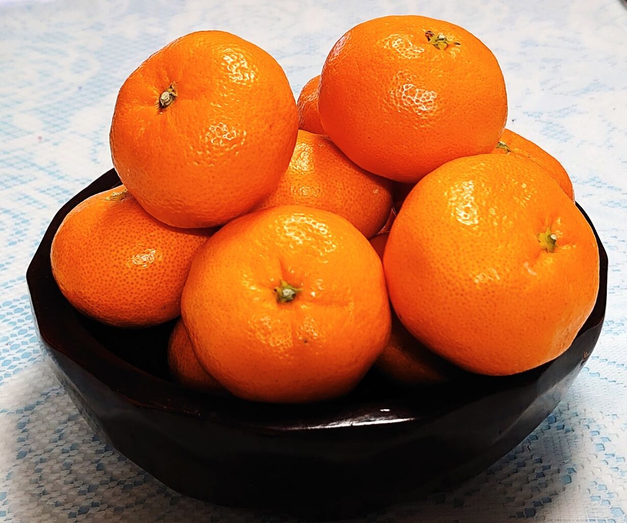 _20201221_164322_copy_1554x1295