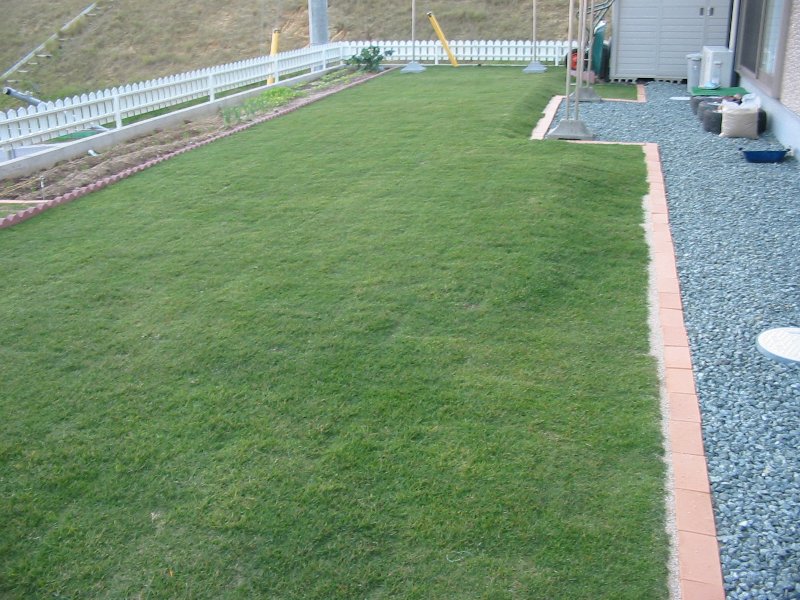 家庭の芝管理 Vol 14 初夏 芝庭造成 五時脱自ブログ