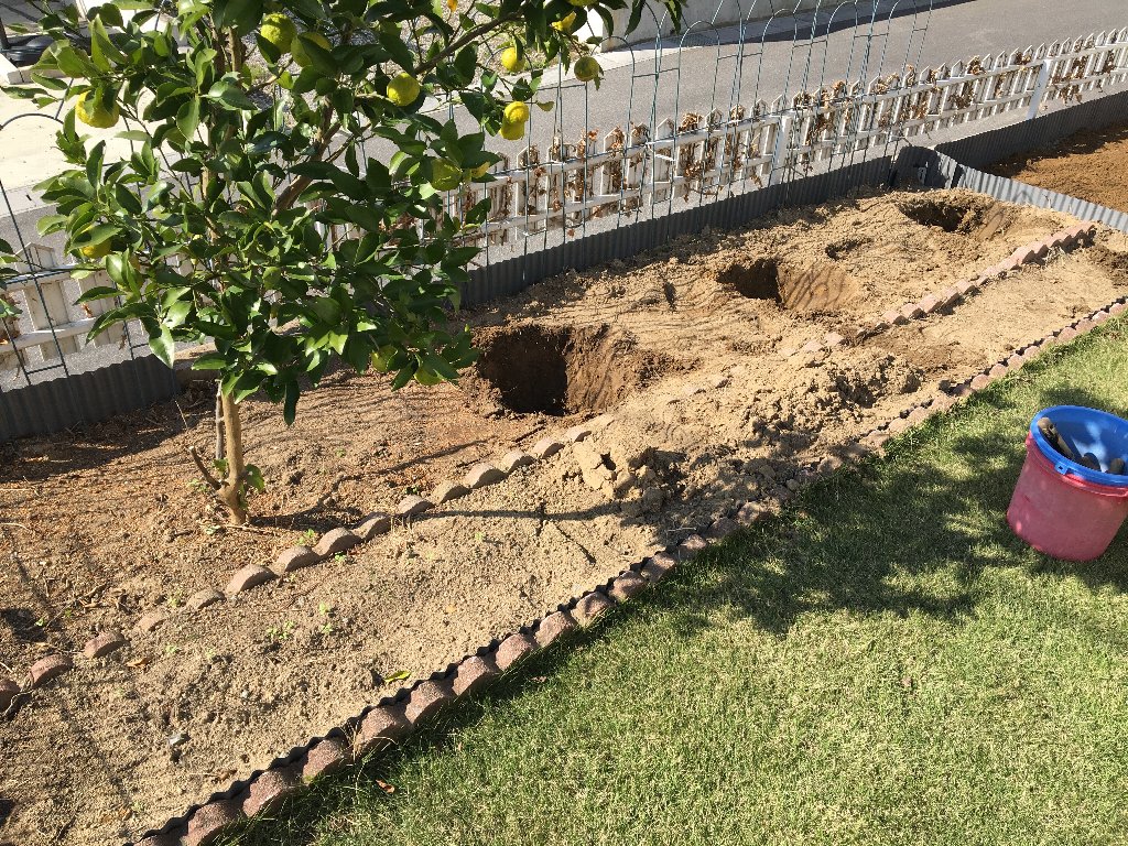 自宅庭改造 その２ 完成形 赤塚植物園 五時脱自ブログ