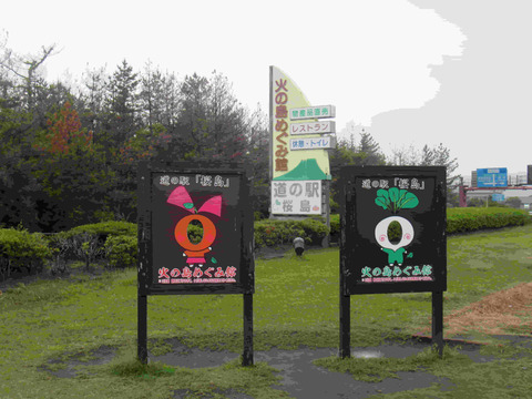 道の駅桜島