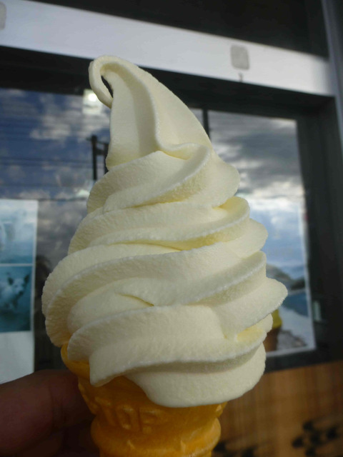 道の駅おおぎみやんばるの森で食べたシークワーサーソフト
