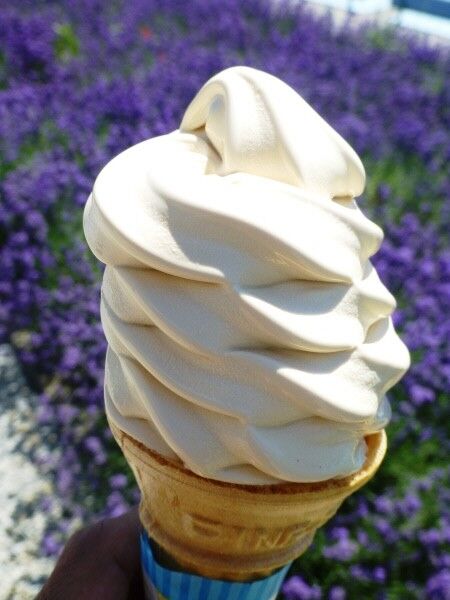 生キャラメルソフト