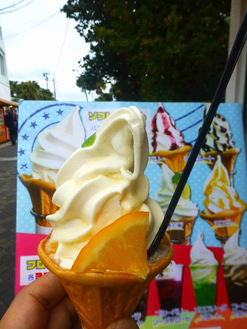 宮崎 青島神社参道の日南レモンソフト 甘酸っぱいソースが決め手