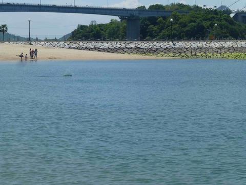 道の駅伯方からしまなみ海道と伯方ビーチを眺める