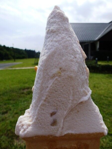 マキノピックランドの栗ジェラート