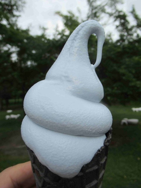 ブルーポンドソフトクリーム　道の駅びえい白金ビルケ　白金青い池を連想させる真っ青なソフトクリーム