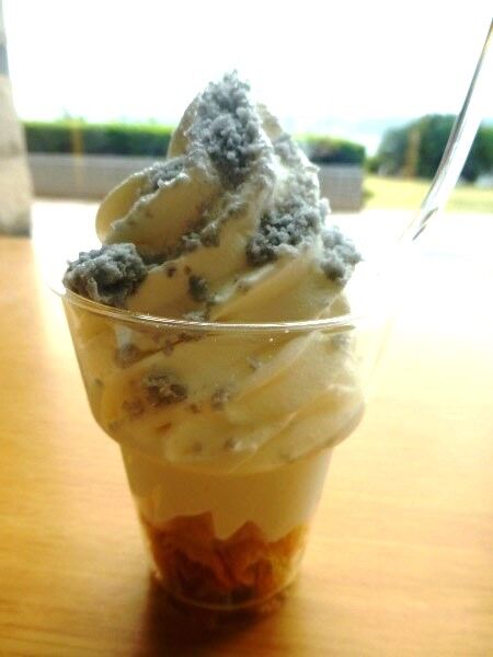 国民宿舎レインボー桜島で火山をイメージした火山灰サンデーを食す 桜島で火山をイメージした火山灰サンデーを食す