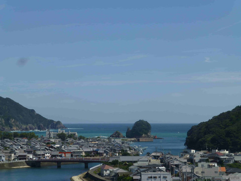 日和佐の街並み。正面に見えるのは立島です。