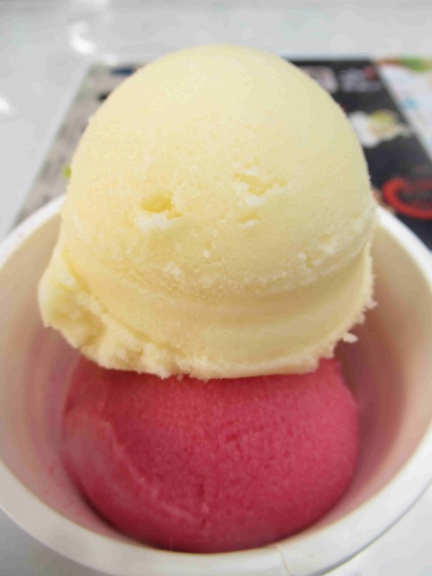 道の駅南国風良里の土佐ジロー＆やまももシャーベット