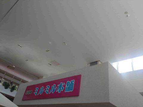 石垣島ミルミル本舗　石垣空港店