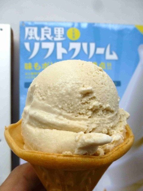 道の駅南国風良里の碁石茶アイス