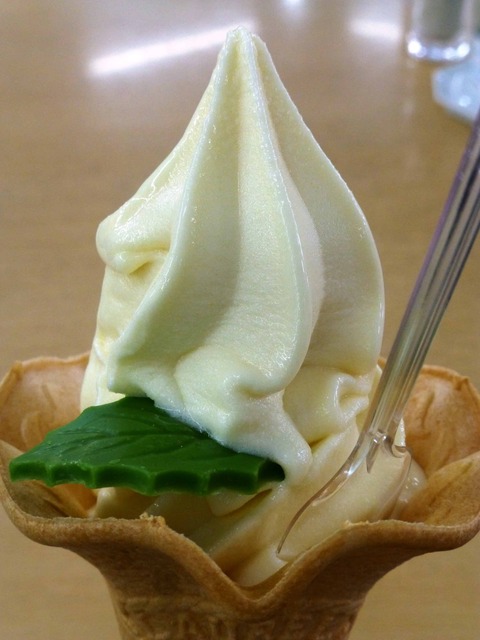 愛媛・石鎚山SAのポンジュースソフトクリーム