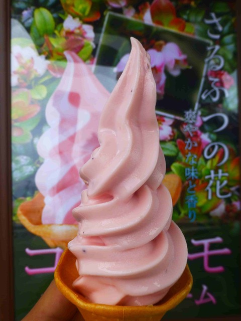 こけももソフトクリーム（道の駅さるふつ公園）