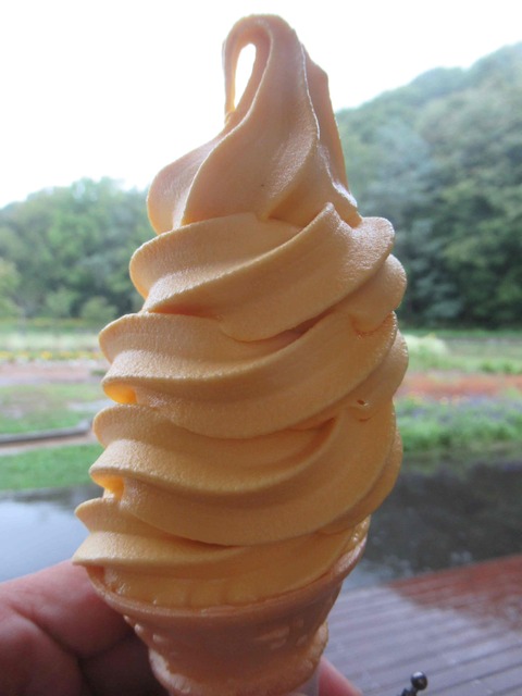 道の駅あかいがわ、キッチンメープル通りのかぼちゃソフトクリーム