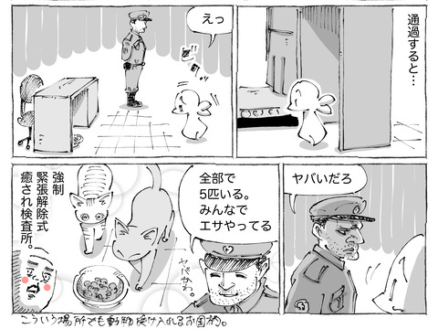 海外旅日記【569】2