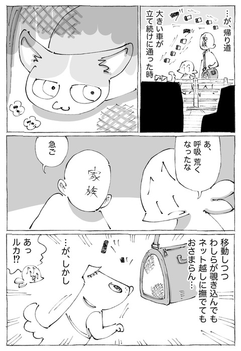 ルカ【97】3−3