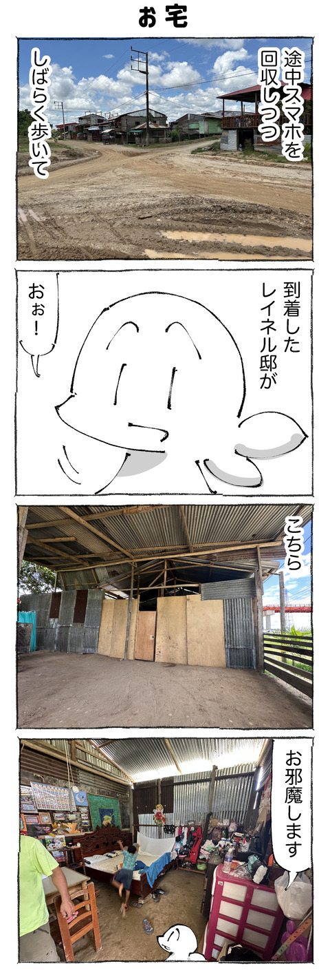 【アマゾン】161