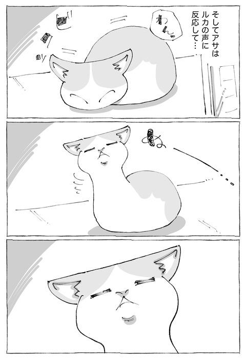ルカ【109】3−2