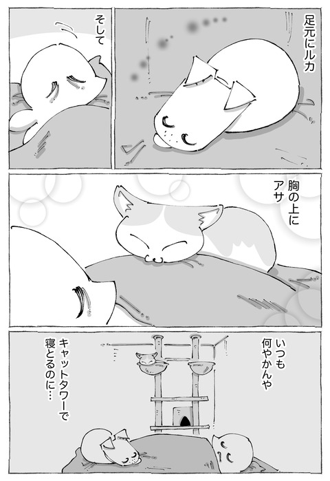 ルカ【94】3−2
